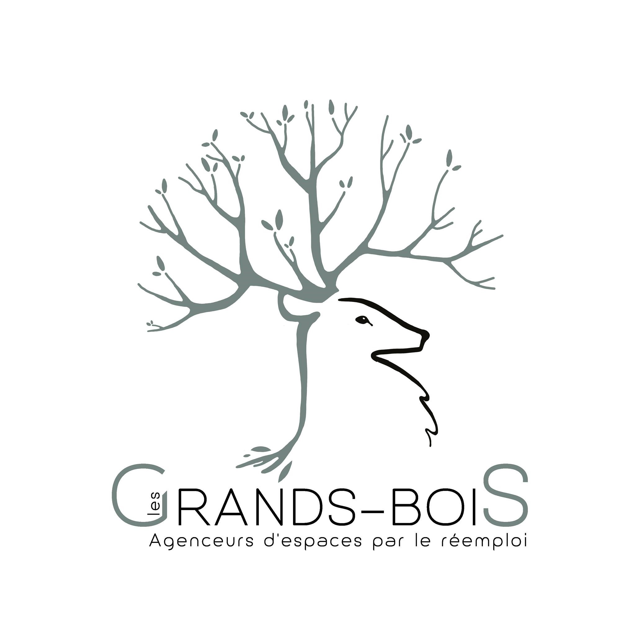 logo LES GRANDS BOIS